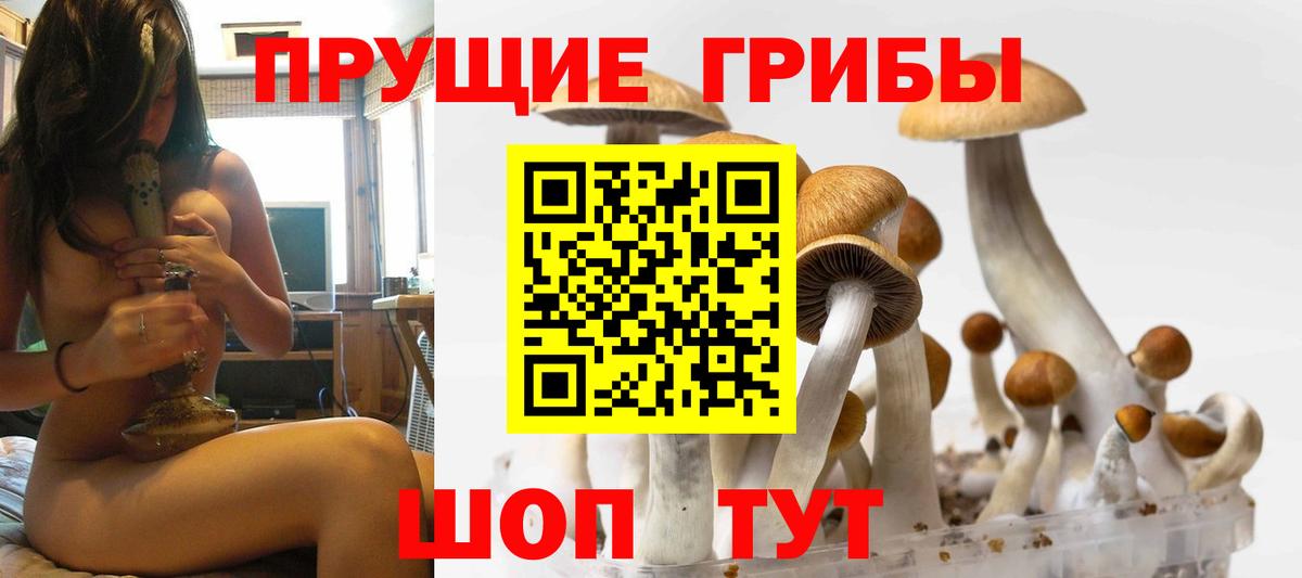 Галлюциногенные грибы Psilocybine cubensis  Вход с VPN  Богородск  закладка  Галлюциногенные грибы мухоморы 